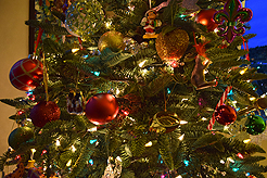 HOLIDAYS IN THE CITY